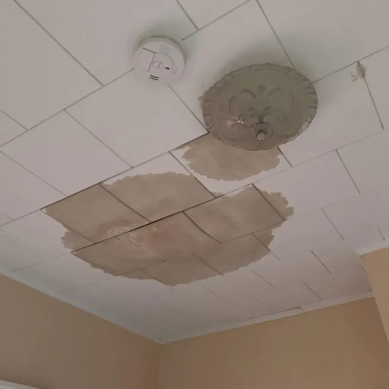 Ceiling Water Damage Repair in Rock Port, MO