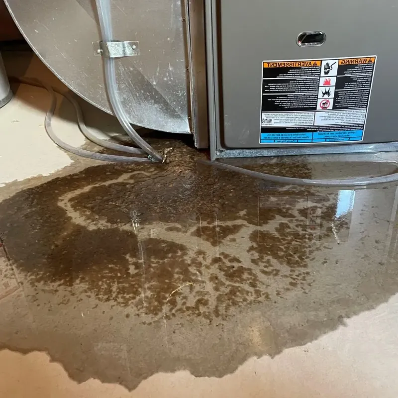 Pipe Burst and Leak Restoration in Rock Port, MO